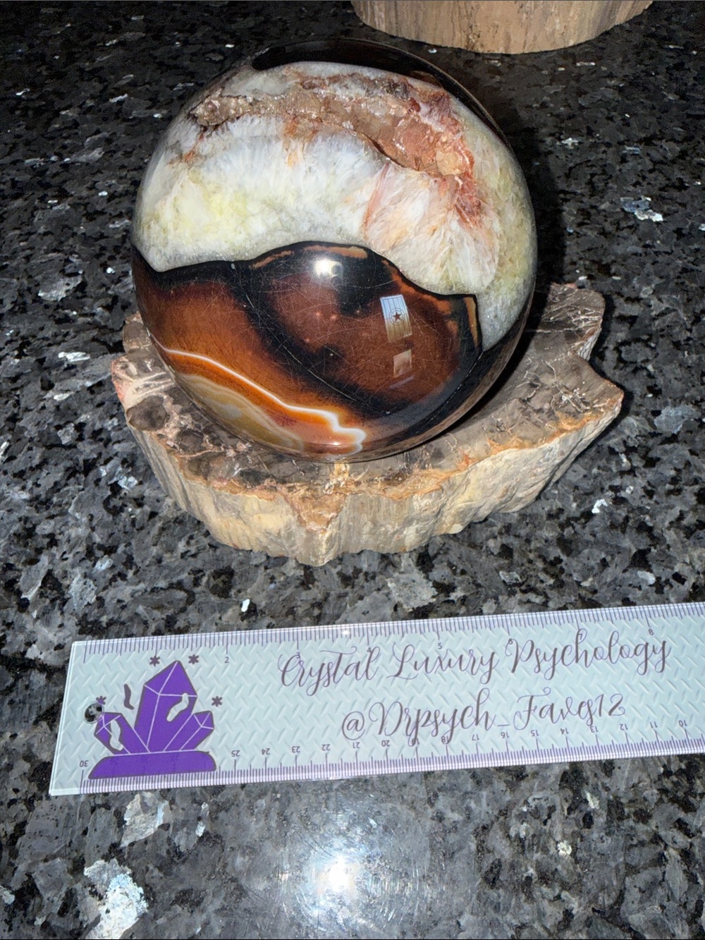 Petrified Wood Custom Bowl B 5 x 7.25โ 4 LBS - Picture 9 of 11